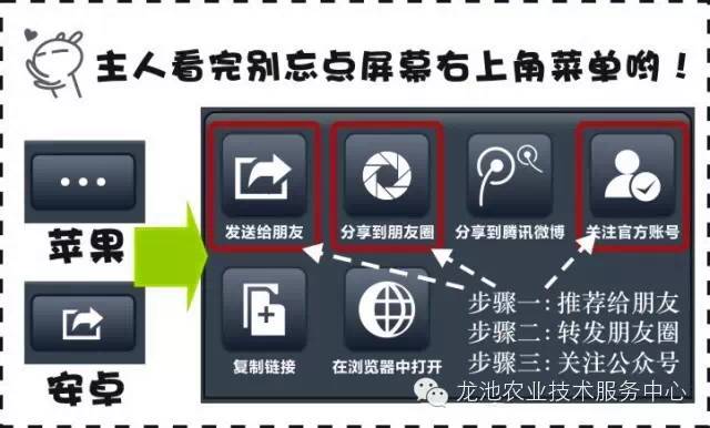 濠江最好的免费资料,平衡性策略实施指导_精简版105.220