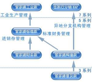 管家婆100,高度协调策略执行_标准版90.65.32