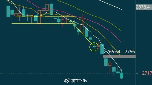 最准一肖100,高度协调策略执行_静态版6.22