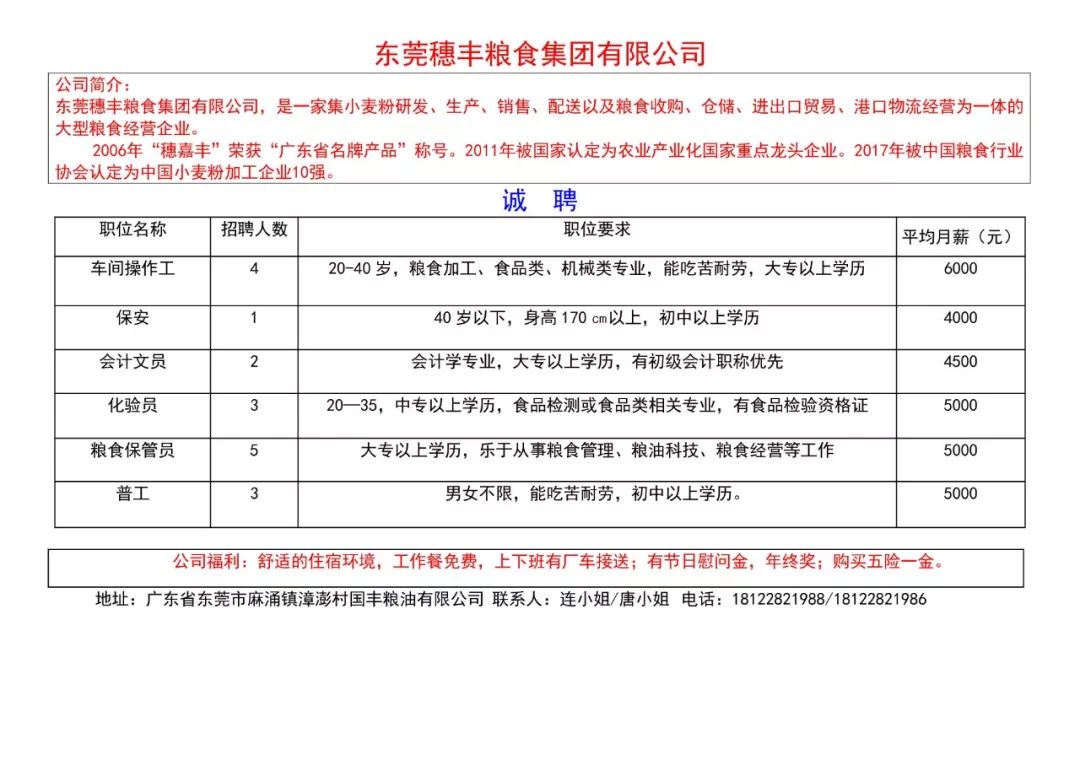 东莞长安涌头最新招聘动态与区域发展影响分析