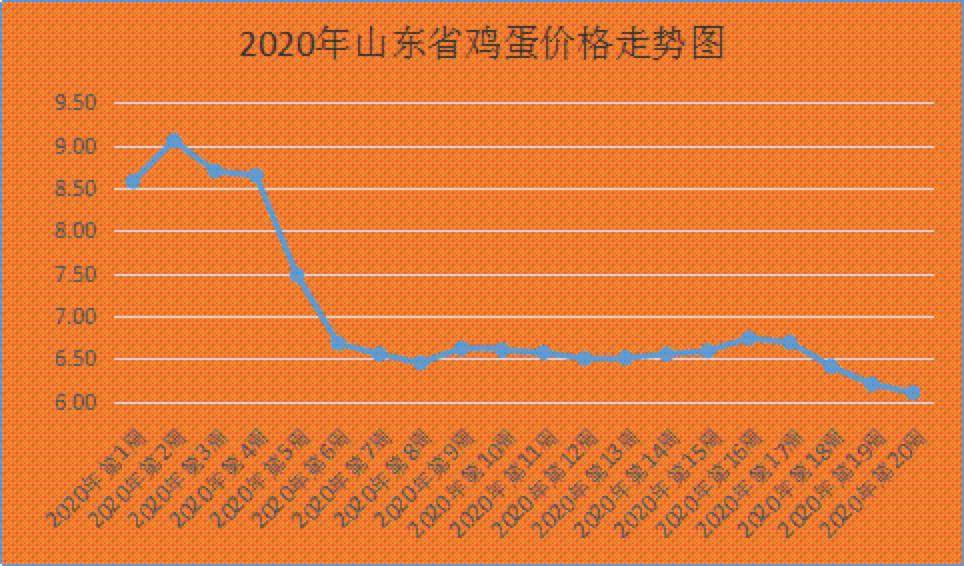 最新鸡蛋走势分析报告，市场趋势分析与预测