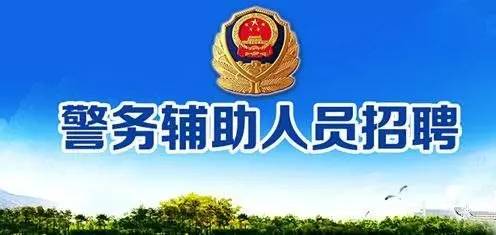 南海招聘网最新招聘动态深度解析及求职指南