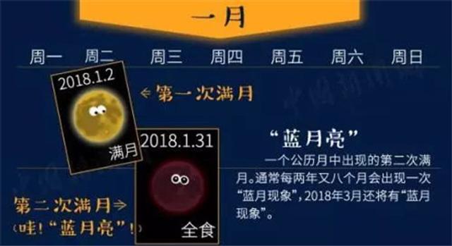 今晚澳门开准确生肖,详细解读落实方案_豪华版180.300