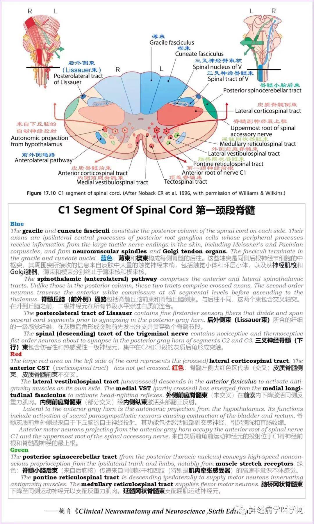 一码一肖100准确使用方法_最新核心解剖落实_尊贵版139.66.102.64