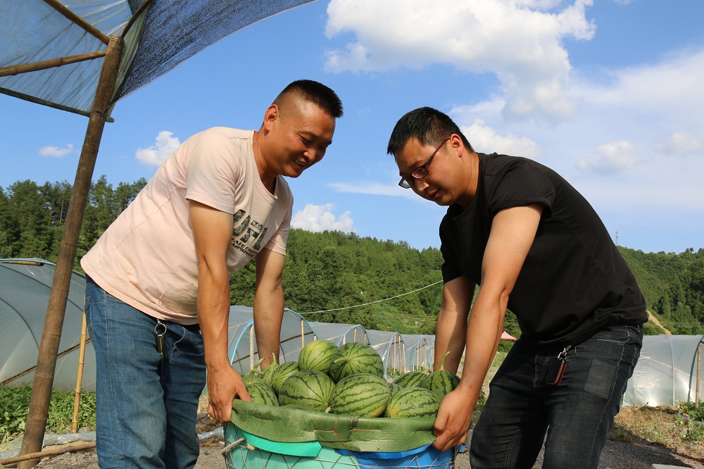 德江县煎茶镇最新发展动态概述